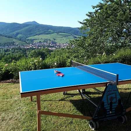 Le Du Chardonneret Nocleg ze śniadaniem Soultzbach les Bains